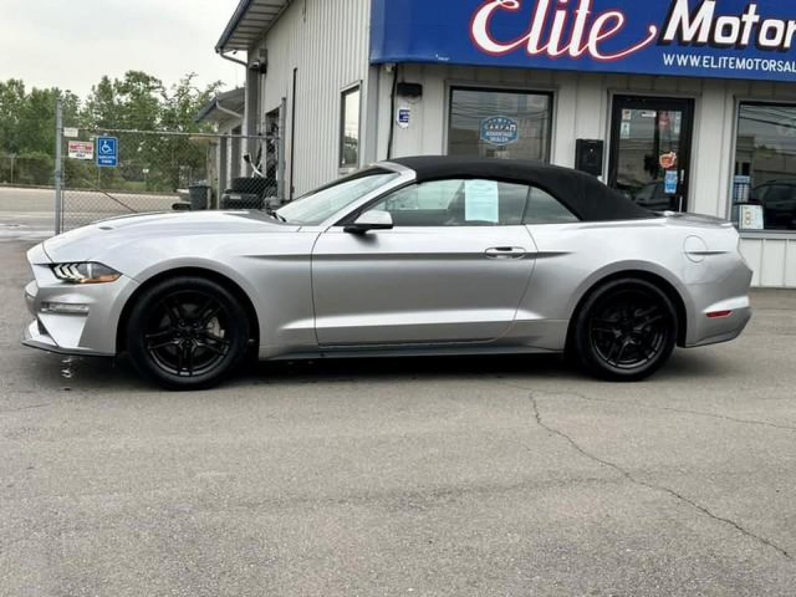 2020 ICONIC SILVER /Black FORD MUSTANG EcoBoost Premium Convertible (1FATP8UH2L5) with an L4,2.3L(140 CID), engine, AUTOMATIC transmission, located at 14600 Frazho Road, Warren, MI, 48089, (586) 776-3400, 42.485996, -82.974220 - Photo #7