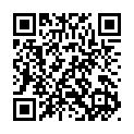 To view this 2016 FORD F-250 SUPER DUTY Warren MI from Elite Motor Sales and Service, please scan this QR code with your smartphone or tablet to view the mobile version of this page.