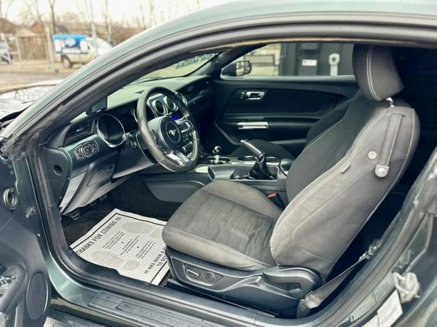 2016 GAURD MET FORD MUSTANG (1FA6P8CF1G5) with an V8,5.0L(302 CID),DOHC engine, MANUAL transmission, located at 14600 Frazho Road, Warren, MI, 48089, (586) 776-3400, 42.485996, -82.974220 - Photo#8