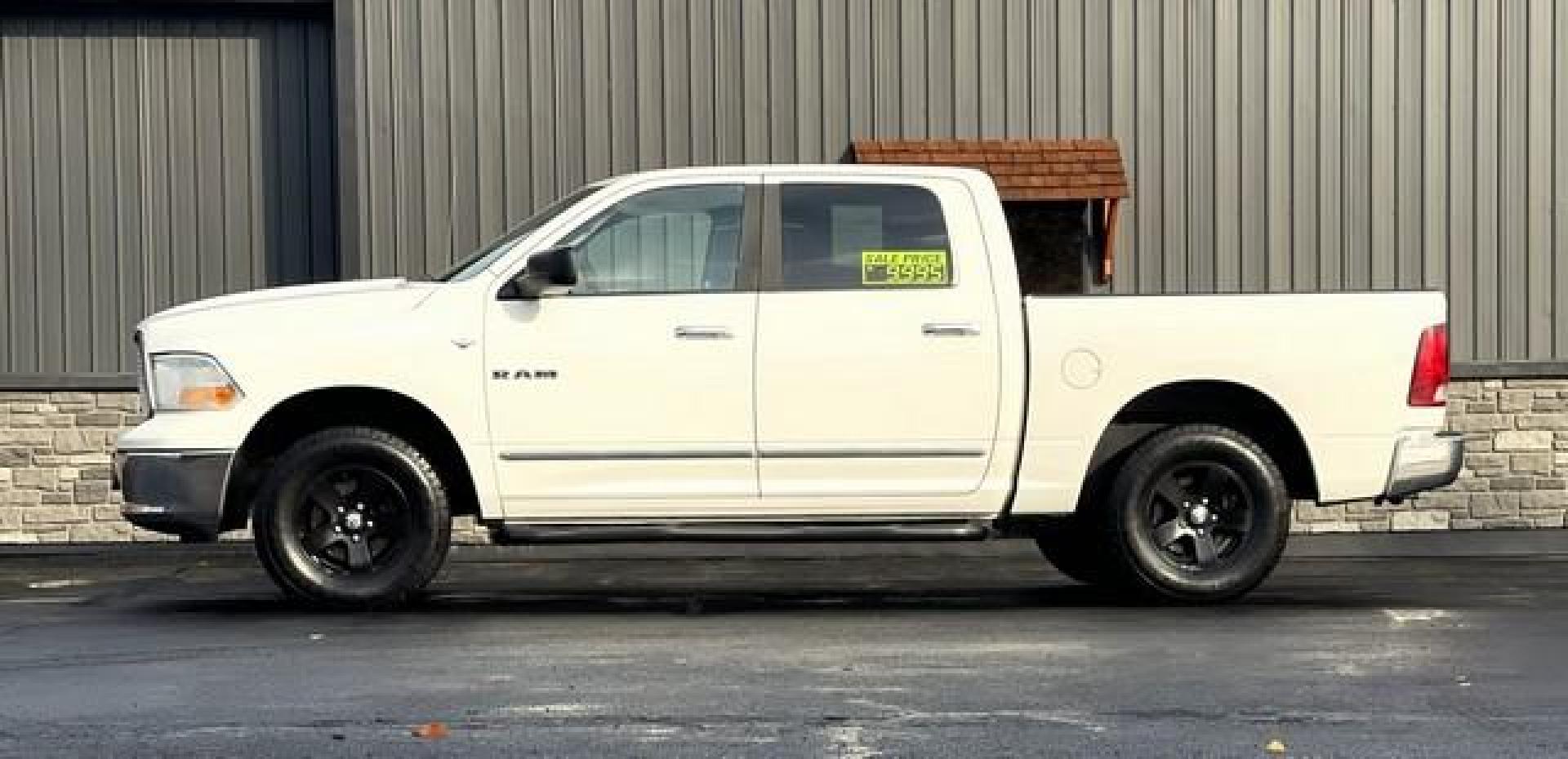 2009 WHITE DODGE RAM 1500 (1D3HV13P29S) with an V8,4.7L(287 CID),SOHC engine, AUTOMATIC transmission, located at 14600 Frazho Road, Warren, MI, 48089, (586) 776-3400, 42.485996, -82.974220 - Photo#4
