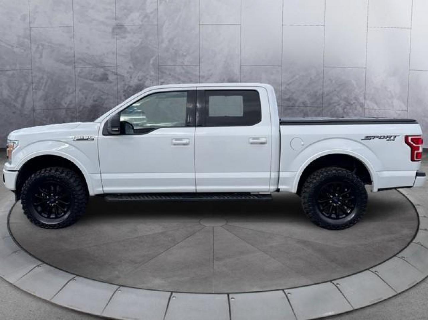 2018 WHITE FORD F-150 (1FTEW1E52JK) with an V8,5.0L(302 CID),DOHC engine, AUTOMATIC transmission, located at 14600 Frazho Road, Warren, MI, 48089, (586) 776-3400, 42.485996, -82.974220 - Photo#7
