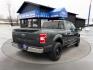 2018 GREEN FORD F-150 (1FTFW1E51JK) with an V8,5.0L(302 CID),DOHC engine, AUTOMATIC transmission, located at 14600 Frazho Road, Warren, MI, 48089, (586) 776-3400, 42.485996, -82.974220 - Photo#4