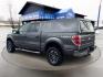 2013 STERLING GREY METALLIC FORD F-150 (1FTFW1ET6DF) with an V6,3.5L(213 CID),DOHC engine, AUTOMATIC transmission, located at 14600 Frazho Road, Warren, MI, 48089, (586) 776-3400, 42.485996, -82.974220 - Photo#6