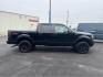 2014 BLACK FORD F-150 (1FTFW1EF7EF) with an V8,5.0L(302 CID),DOHC engine, AUTOMATIC transmission, located at 14600 Frazho Road, Warren, MI, 48089, (586) 776-3400, 42.485996, -82.974220 - Photo#3