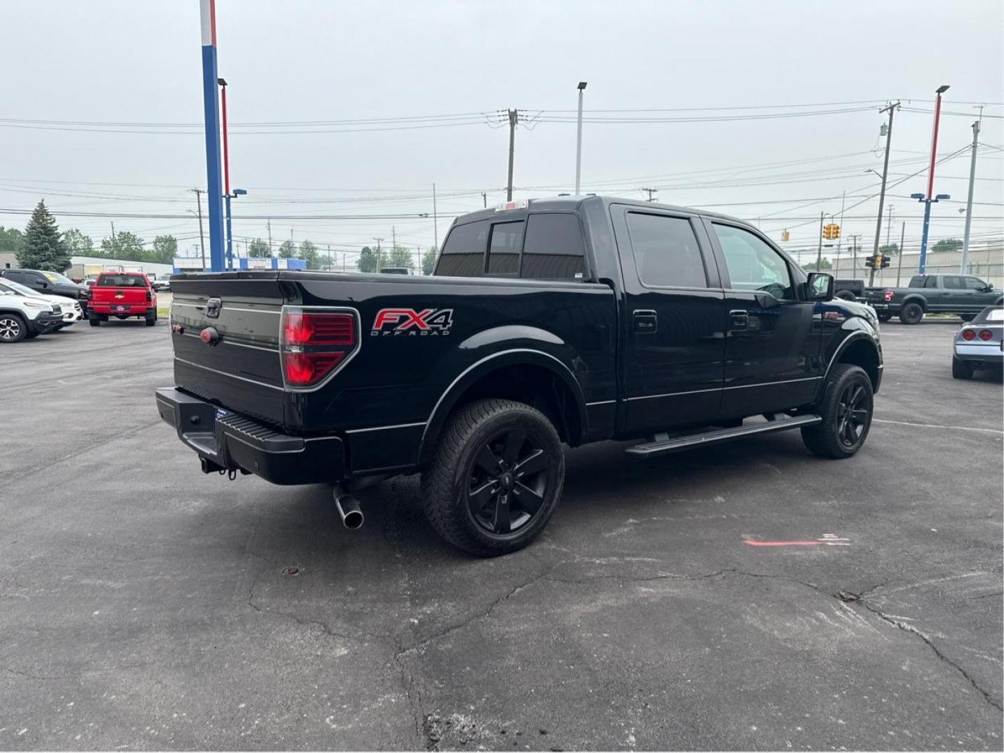 2014 BLACK FORD F-150 (1FTFW1EF7EF) with an V8,5.0L(302 CID),DOHC engine, AUTOMATIC transmission, located at 14600 Frazho Road, Warren, MI, 48089, (586) 776-3400, 42.485996, -82.974220 - Photo#4