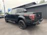 2014 BLACK FORD F-150 (1FTFW1EF7EF) with an V8,5.0L(302 CID),DOHC engine, AUTOMATIC transmission, located at 14600 Frazho Road, Warren, MI, 48089, (586) 776-3400, 42.485996, -82.974220 - Photo#6