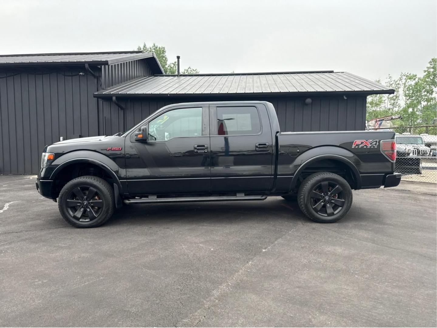 2014 BLACK FORD F-150 (1FTFW1EF7EF) with an V8,5.0L(302 CID),DOHC engine, AUTOMATIC transmission, located at 14600 Frazho Road, Warren, MI, 48089, (586) 776-3400, 42.485996, -82.974220 - Photo#7