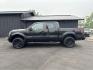 2014 BLACK FORD F-150 (1FTFW1EF7EF) with an V8,5.0L(302 CID),DOHC engine, AUTOMATIC transmission, located at 14600 Frazho Road, Warren, MI, 48089, (586) 776-3400, 42.485996, -82.974220 - Photo#7