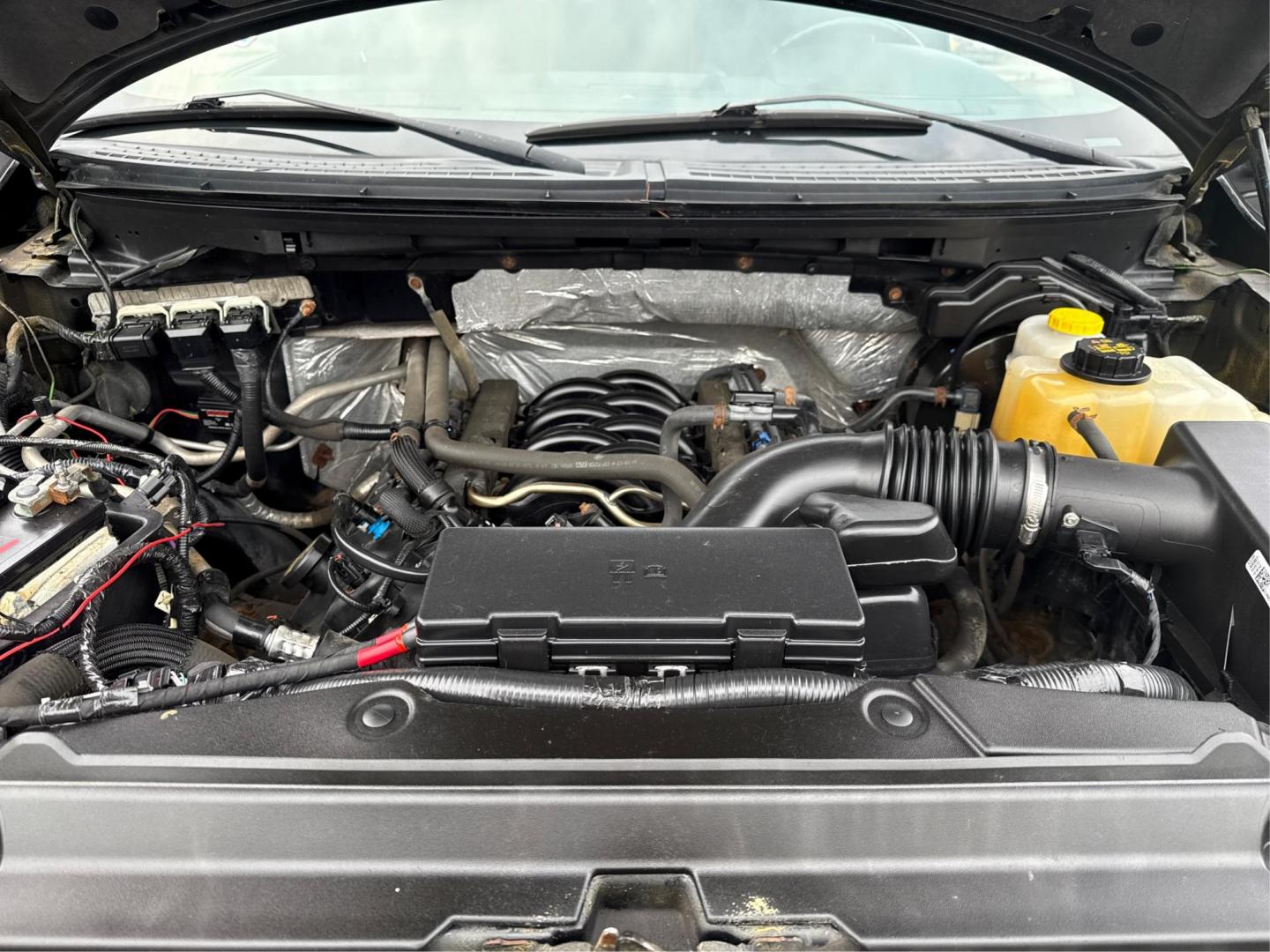 2014 BLACK FORD F-150 (1FTFW1EF7EF) with an V8,5.0L(302 CID),DOHC engine, AUTOMATIC transmission, located at 14600 Frazho Road, Warren, MI, 48089, (586) 776-3400, 42.485996, -82.974220 - Photo#10