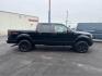 2014 BLACK FORD F-150 (1FTFW1EF7EF) with an V8,5.0L(302 CID),DOHC engine, AUTOMATIC transmission, located at 14600 Frazho Road, Warren, MI, 48089, (586) 776-3400, 42.485996, -82.974220 - Photo#4
