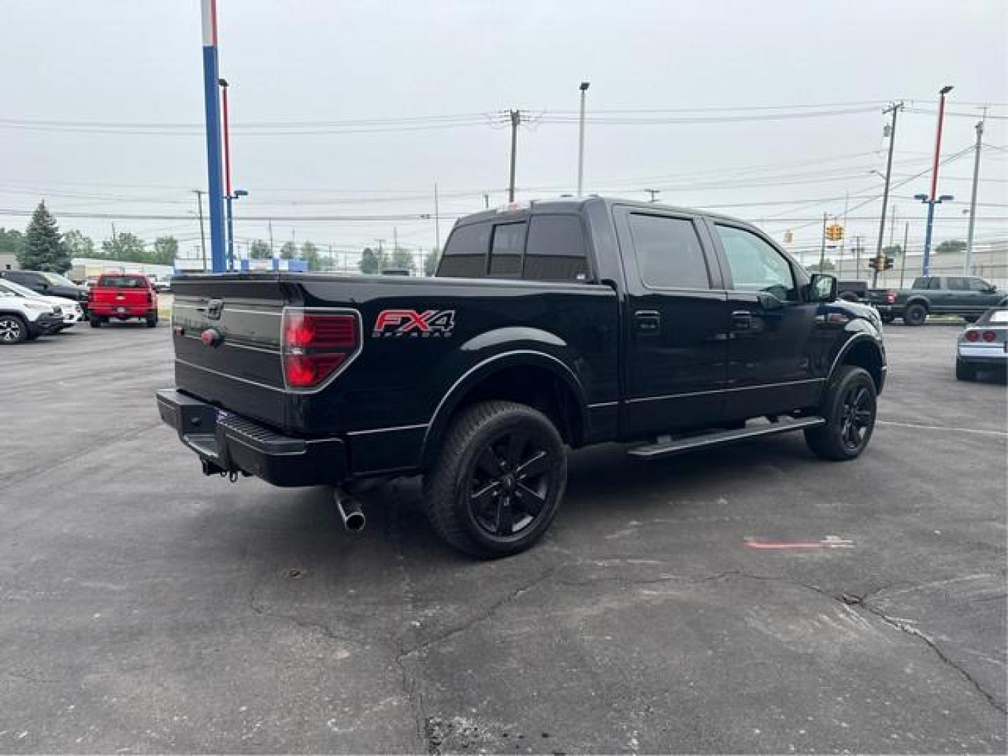 2014 BLACK FORD F-150 (1FTFW1EF7EF) with an V8,5.0L(302 CID),DOHC engine, AUTOMATIC transmission, located at 14600 Frazho Road, Warren, MI, 48089, (586) 776-3400, 42.485996, -82.974220 - Photo#5