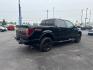 2014 BLACK FORD F-150 (1FTFW1EF7EF) with an V8,5.0L(302 CID),DOHC engine, AUTOMATIC transmission, located at 14600 Frazho Road, Warren, MI, 48089, (586) 776-3400, 42.485996, -82.974220 - Photo#5
