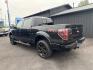 2014 BLACK FORD F-150 (1FTFW1EF7EF) with an V8,5.0L(302 CID),DOHC engine, AUTOMATIC transmission, located at 14600 Frazho Road, Warren, MI, 48089, (586) 776-3400, 42.485996, -82.974220 - Photo#7