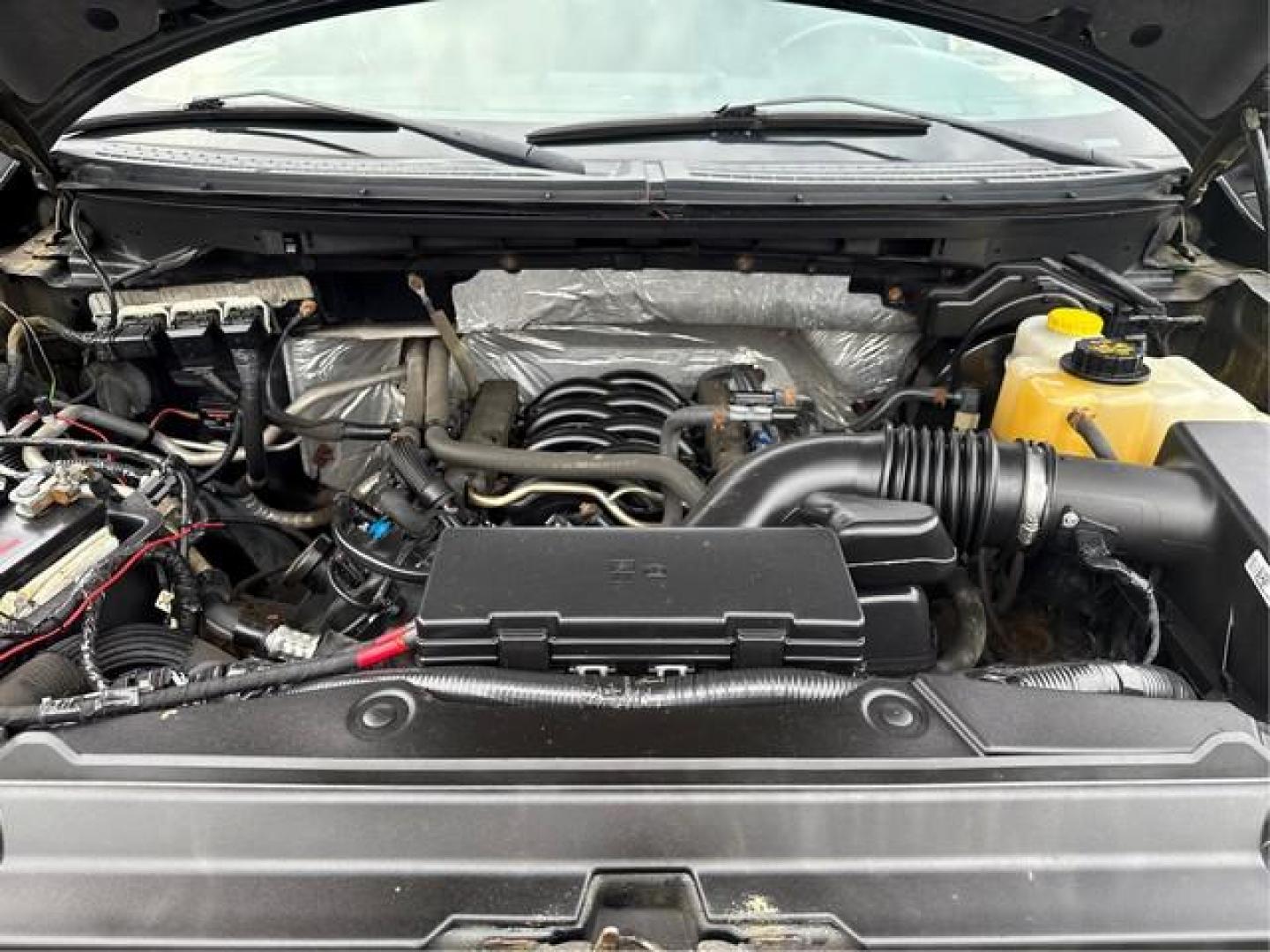 2014 BLACK FORD F-150 (1FTFW1EF7EF) with an V8,5.0L(302 CID),DOHC engine, AUTOMATIC transmission, located at 14600 Frazho Road, Warren, MI, 48089, (586) 776-3400, 42.485996, -82.974220 - Photo#10