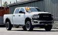 2020 WHITE RAM 2500 (3C6TR5CJ3LG) with an V8,6.4L(392 CID),OHV engine, AUTOMATIC transmission, located at 14600 Frazho Road, Warren, MI, 48089, (586) 776-3400, 42.485996, -82.974220 - Photo#3