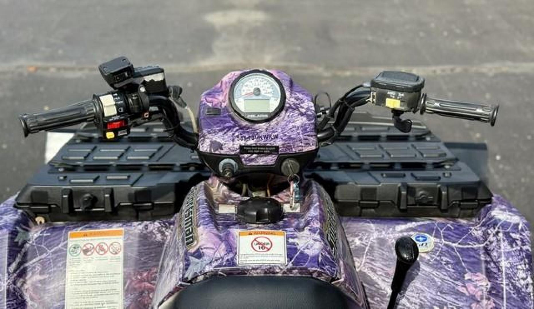 2005 POLARIS SPORTSMAN (4XAMH50A55A) with an 500CC engine, AUTOMATIC transmission, located at 14600 Frazho Road, Warren, MI, 48089, (586) 776-3400, 42.485996, -82.974220 - Photo#8