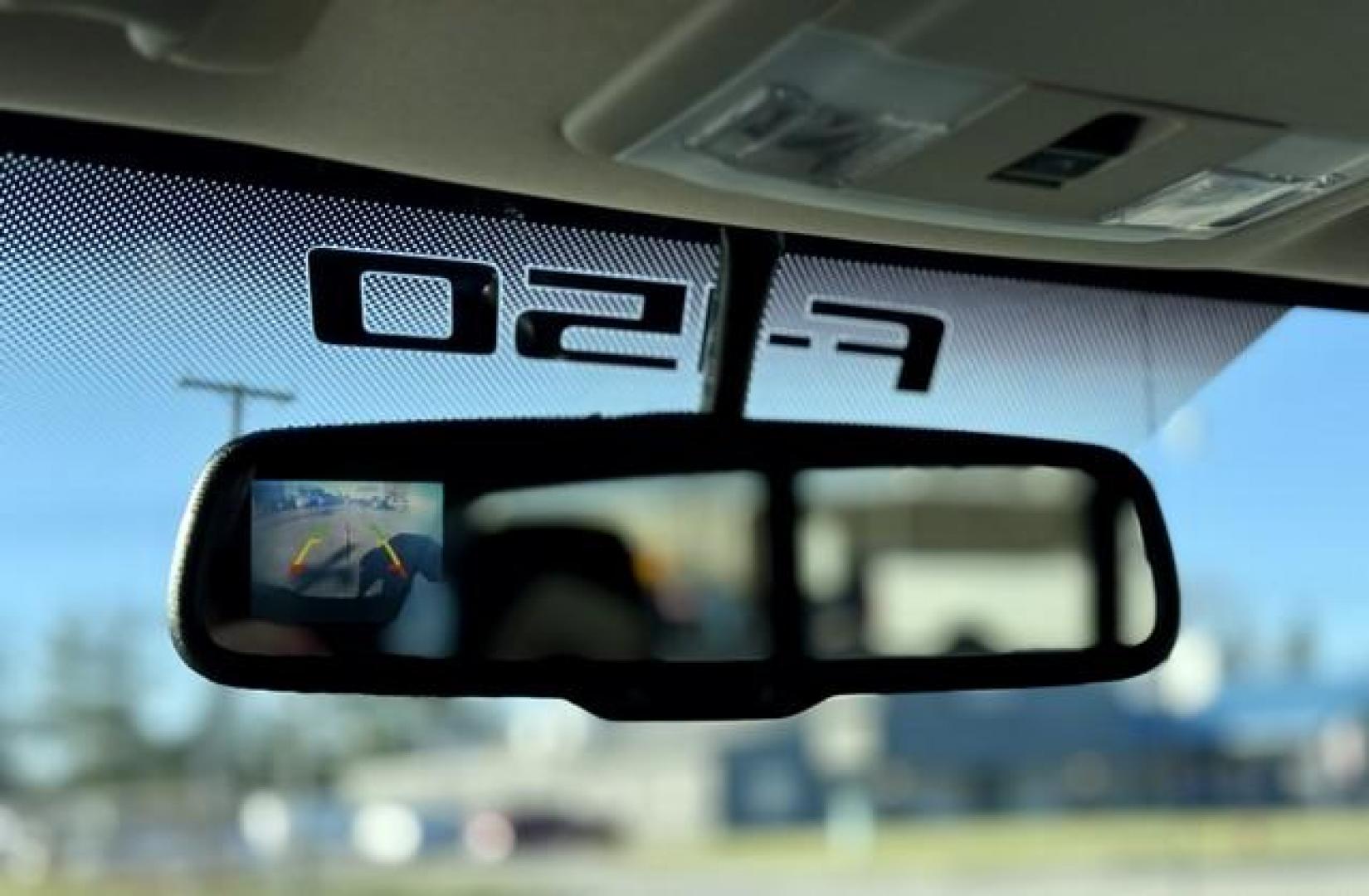 2010 BLACK FORD F-150 (1FTFW1EV8AF) with an V8,5.4L(330 CID),SOHC engine, AUTOMATIC transmission, located at 14600 Frazho Road, Warren, MI, 48089, (586) 776-3400, 42.485996, -82.974220 - Photo#13