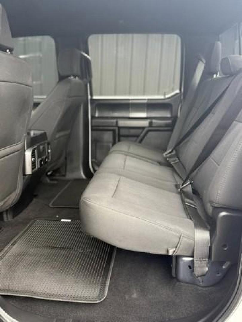 2019 WHITE FORD F-150 (1FTFW1E42KF) with an V6,3.5L(213 CID),DOHC engine, AUTOMATIC transmission, located at 14600 Frazho Road, Warren, MI, 48089, (586) 776-3400, 42.485996, -82.974220 - Photo#11
