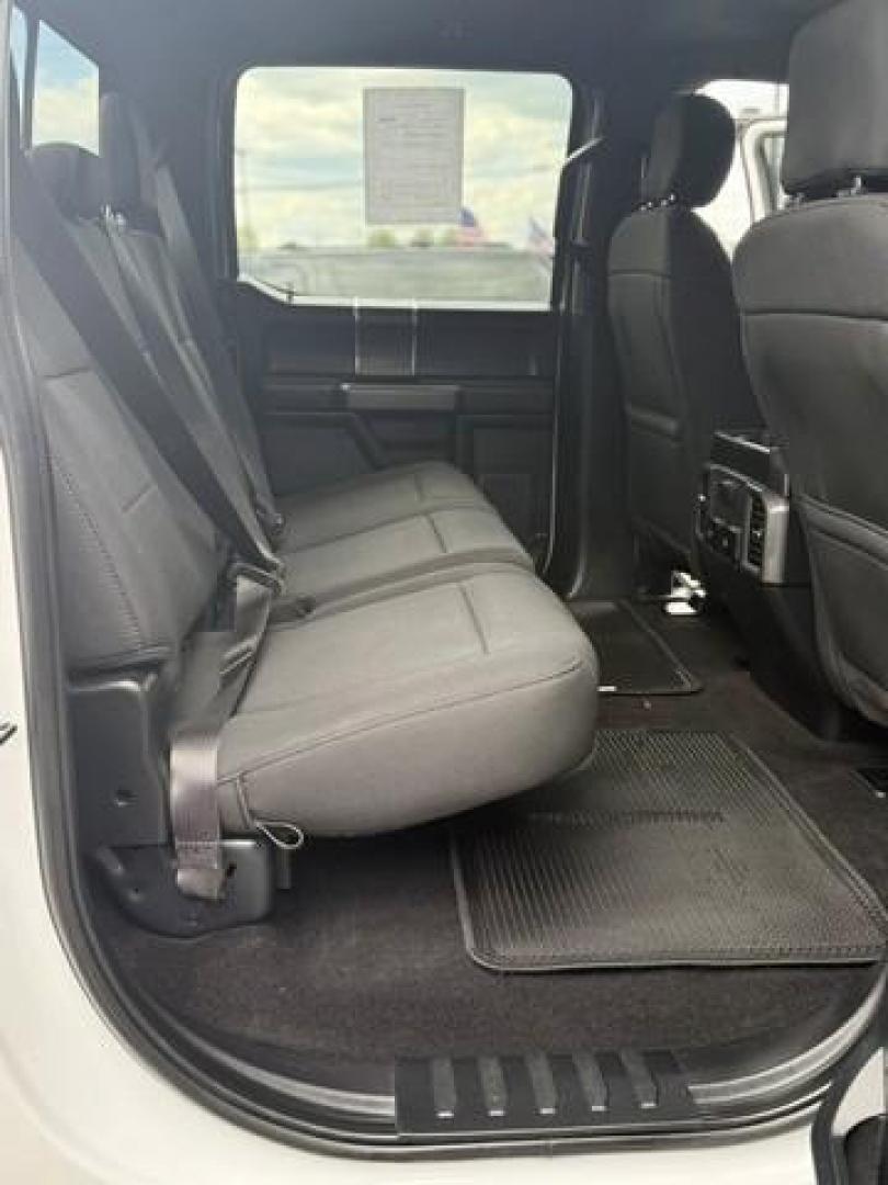 2019 WHITE FORD F-150 (1FTFW1E42KF) with an V6,3.5L(213 CID),DOHC engine, AUTOMATIC transmission, located at 14600 Frazho Road, Warren, MI, 48089, (586) 776-3400, 42.485996, -82.974220 - Photo#13