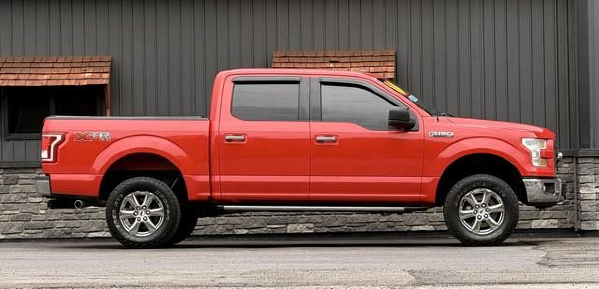 2016 RUBY RED FORD F-150 (1FTEW1EF0GF) with an V8,5.0L(302 CID),DOHC engine, AUTOMATIC transmission, located at 14600 Frazho Road, Warren, MI, 48089, (586) 776-3400, 42.485996, -82.974220 - Photo#3