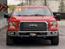 2016 RUBY RED FORD F-150 (1FTEW1EF0GF) with an V8,5.0L(302 CID),DOHC engine, AUTOMATIC transmission, located at 14600 Frazho Road, Warren, MI, 48089, (586) 776-3400, 42.485996, -82.974220 - Photo#4