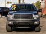 2013 METALLIC GRAY FORD F-150 (1FTFX1EF8DF) with an V8,5.0L(302 CID),DOHC engine, AUTOMATIC transmission, located at 14600 Frazho Road, Warren, MI, 48089, (586) 776-3400, 42.485996, -82.974220 - Photo#4
