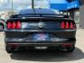 2016 BLACK FORD MUSTANG (1FA6P8CF1G5) with an V8,5.0L(302 CID),DOHC engine, AUTOMATIC transmission, located at 14600 Frazho Road, Warren, MI, 48089, (586) 776-3400, 42.485996, -82.974220 - Photo#5