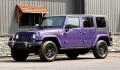 2016 PURPLE JEEP WRANGLER (1C4BJWEG4GL) with an V6,3.6L(220 CID),DOHC engine, AUTOMATIC transmission, located at 14600 Frazho Road, Warren, MI, 48089, (586) 776-3400, 42.485996, -82.974220- Photo#1
