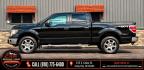 2013 BLACK FORD F-150 (1FTFW1EF4DK) with an V8,5.0L(302 CID),DOHC engine, AUTOMATIC transmission, located at 14600 Frazho Road, Warren, MI, 48089, (586) 776-3400, 42.485996, -82.974220- Photo#0