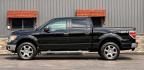 2013 BLACK FORD F-150 (1FTFW1EF4DK) with an V8,5.0L(302 CID),DOHC engine, AUTOMATIC transmission, located at 14600 Frazho Road, Warren, MI, 48089, (586) 776-3400, 42.485996, -82.974220- Photo#1